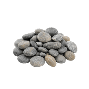 Panther Pebbles Panther Pebbles